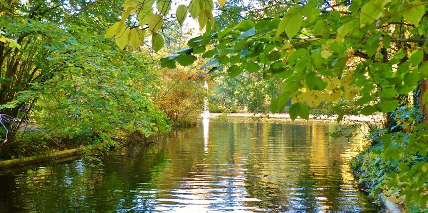 Alcsúti Arboretum Nature Reserves, Alcsútdoboz, Hungary, Hungary